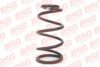 BSG BSG 30-305-005 Coil Spring